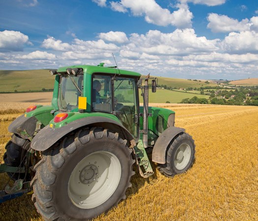 Farm to Fork: Supporting British Farms